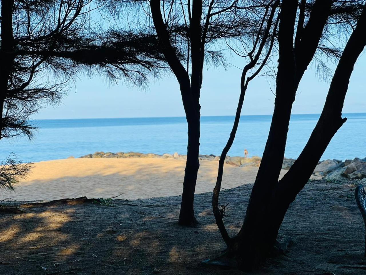 Omeesha Beach Hotel Kalpitiya Exteriér fotografie